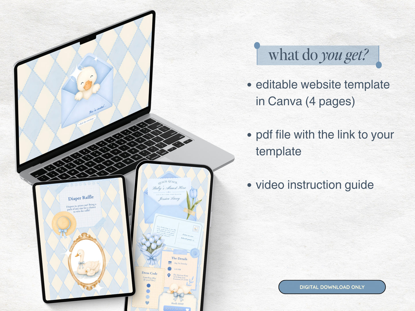 Silly Goose Baby Shower Website - Blue