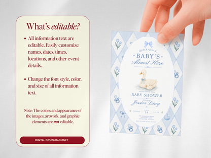 Silly Goose Baby Invitation - Blue